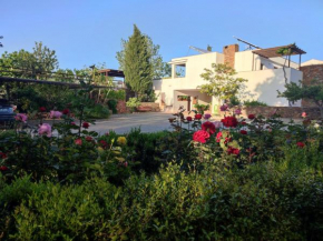El Domingo en el Valle, Fondon